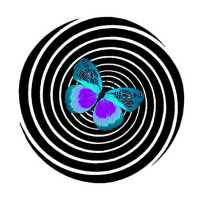 Life In Balance Hypnosis and Counseling Logo