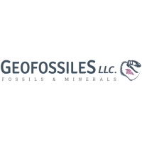 Geofossiles Rock Shop Logo