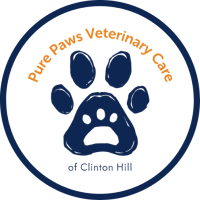 Pure Paws Veterinary Care of Clinton Hill Logo