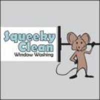 Squeeky Clean Window Washing Logo