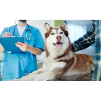 South Shore Veterinary Care Logo