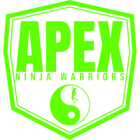 Apex Ninja Warriors By Sam Sann Logo