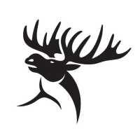 Moose Motorcars Logo
