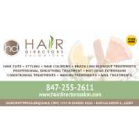 Hair Directors Salon & Spa Logo