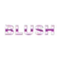 Blush Cleaning Service LLC Logo
