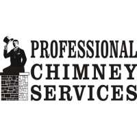 Professional Chimney Services Logo
