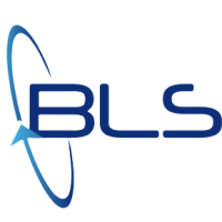 Blue Logic Solutions, LLC Logo