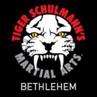 Tiger Schulmann's Martial Arts (Bethlehem, PA) Logo