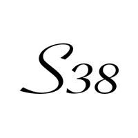 Salon 38 Logo