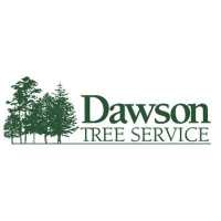 Dawson Tree Service Logo