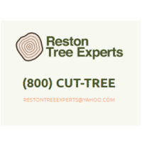 Reston Tree Experts Logo