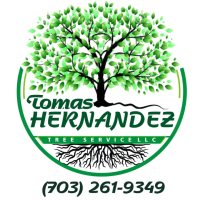Tomas Hernandez Tree Services LLC Logo