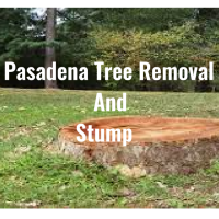 Pasadena Tree Removal and Stump Logo