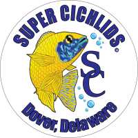 Super Cichlids Logo