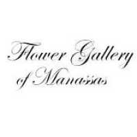 Flower Gallery Of Virginia Logo
