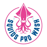 Squids Pro Wash 🦑 Logo