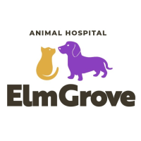 Elm Grove Animal Hospital Logo
