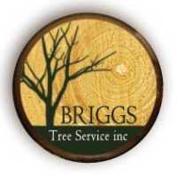 Briggs Tree Services Logo
