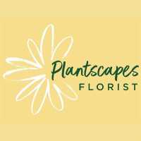 Plantscapes Florist & Flower Delivery Logo