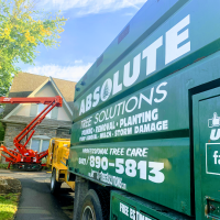 Absolute Tree Solutions Logo