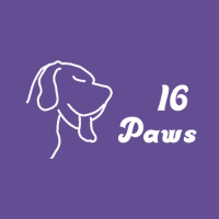 16 Paws LLC Logo