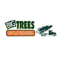 Big Trees Inc Tree Nursery Logo