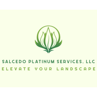 Salcedo Platinum Services LLC Logo