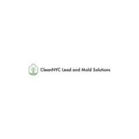 CleanNYC Lead and Mold Solutions Logo