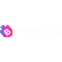 BitsWits Houston - Mobile App Development Company Logo