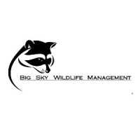 Big Sky Wildlife Management Logo