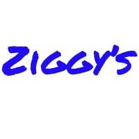 Ziggys Logo