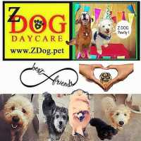 Z Dog Day Care Logo
