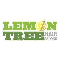 Lemon Tree Hair Salon Dix Hills / Huntington Logo