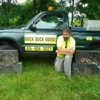 Duck Duck Goose Wildlife Control Logo