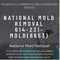 National Mold Removal Logo