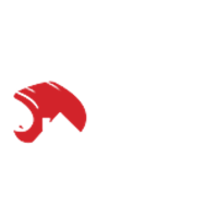 Norman Painting Pros Logo