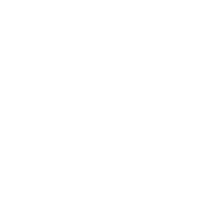 J & N Shoes/ Mr.D's Sports Logo