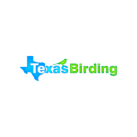 Texas Birding Logo