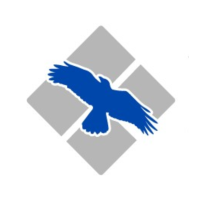 Blue Raven Executive Protection & Security Services Logo
