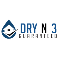 Dry N 3 Guaranteed Logo