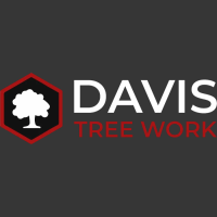 Davis Tree Work Logo