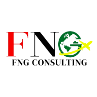FNG Consulting Logo