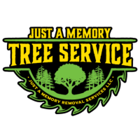Just a Memory Removal Services Logo