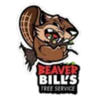 Beaver Bill's Tree Service Logo