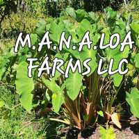M.A.N.A.Loa Farms' LLC Land Work & Excavation Logo