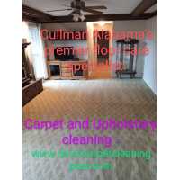 Davis Carpet Cleaning Plus Logo