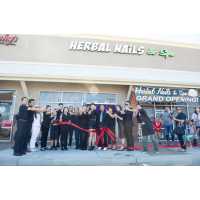 Herbal Nails And Spa In Laveen Logo
