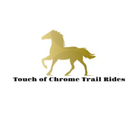 Touch of Chrome Trail Rides Logo