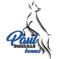 Paul Doberman Kennel Logo