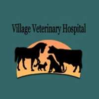 Village Veterinary Hospital Logo